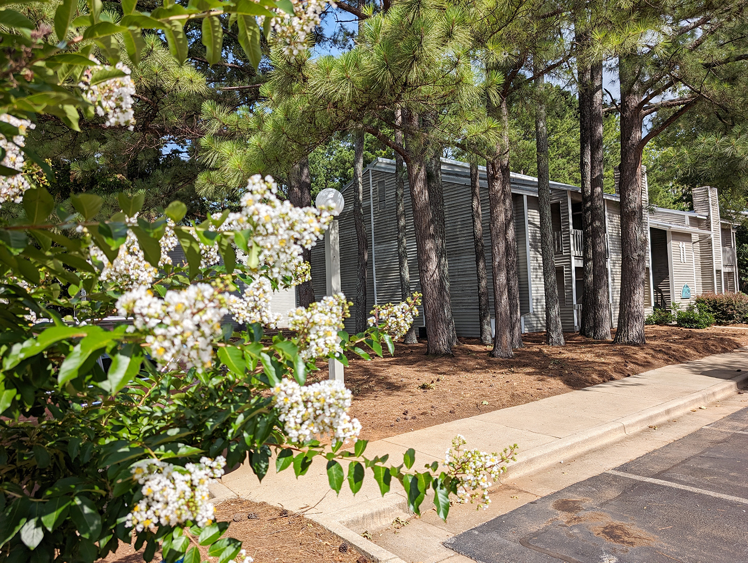 Move-In Info Header